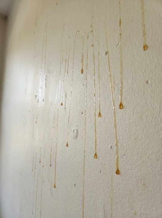 Why Yellow Streaks Appear on Bathroom Walls: Causes, Meaning, and How to Fix and Prevent Them