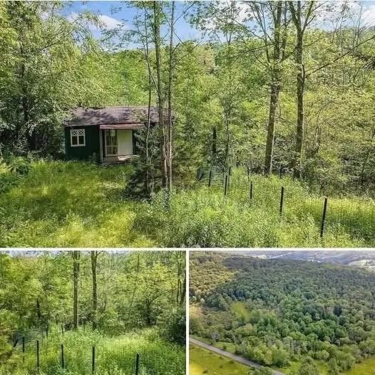 $19,000 No neighbors, no