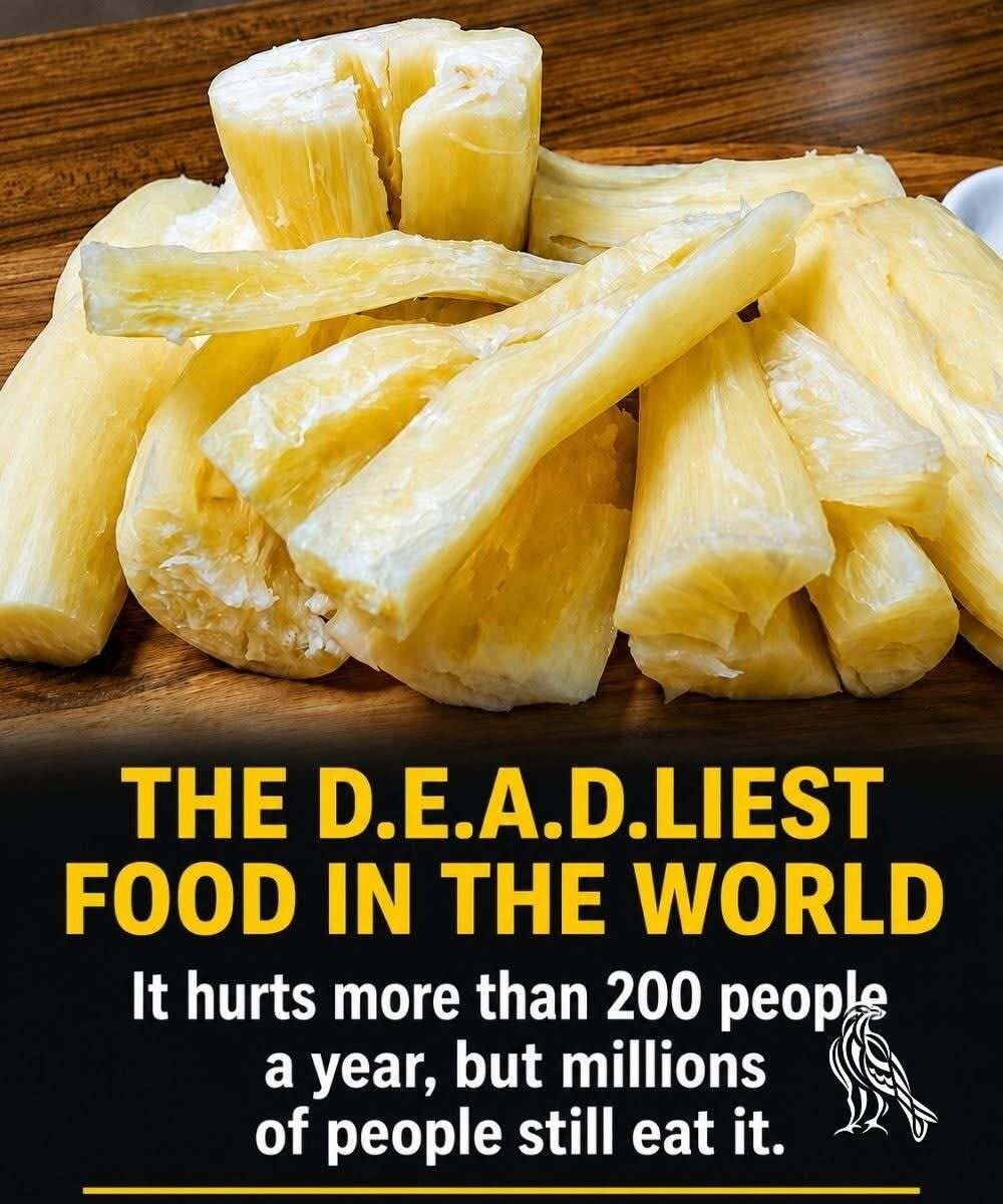 Common Mistakes People Make When Eating Cassava That Could Affect Digestive Health