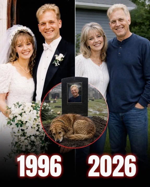 I Brought a Stray Dog Home After My Husband’s Death — When I Removed His Worn-Out Collar, I Found a Hidden Note That Changed Everything