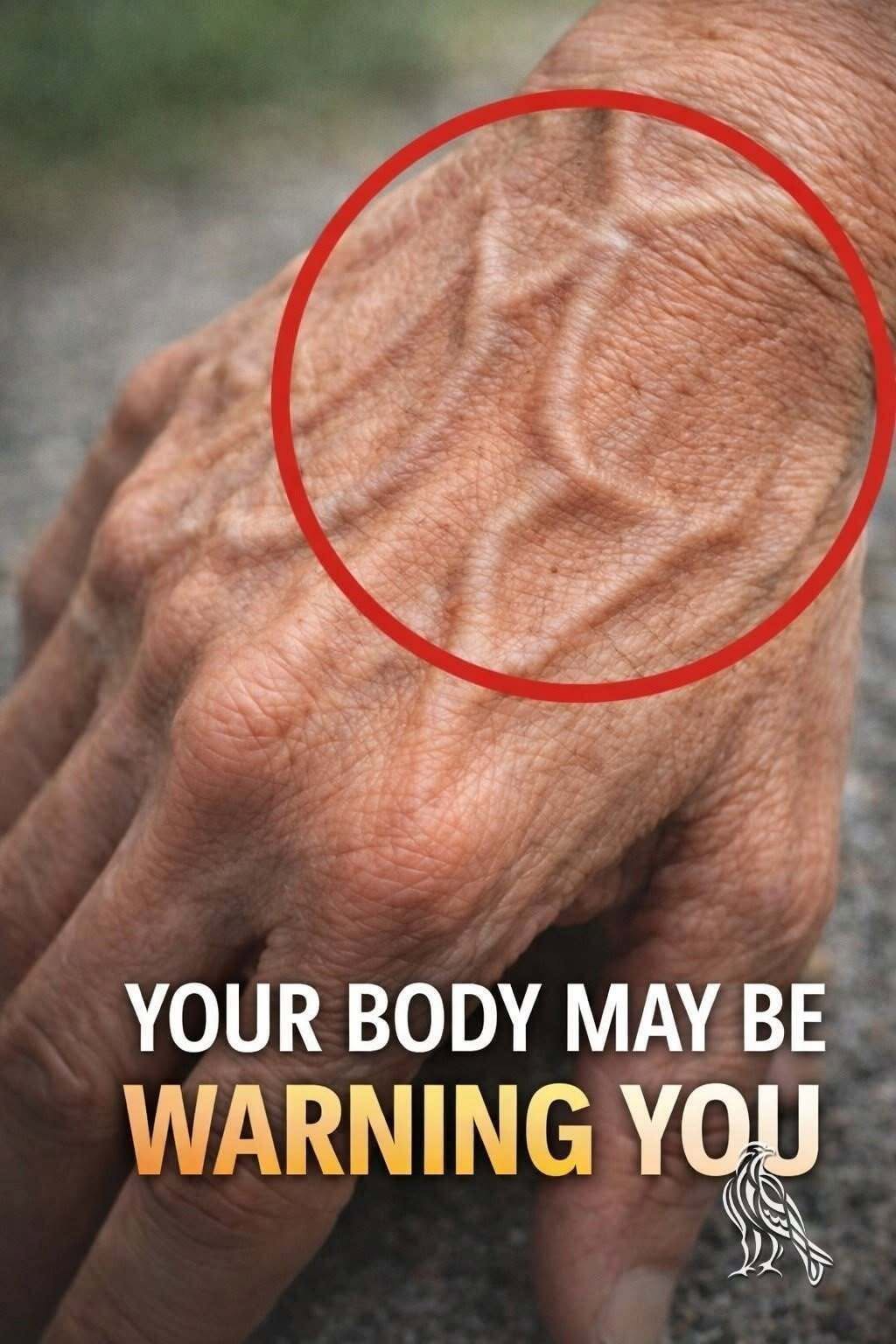 Understanding Sudden Bulging Veins: Causes, Risks, and When to Seek Medical Attention