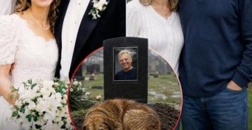 I Brought a Stray Dog Home After My Husband’s Death — When I Removed His Worn-Out Collar, I Found a Hidden Note That Changed Everything